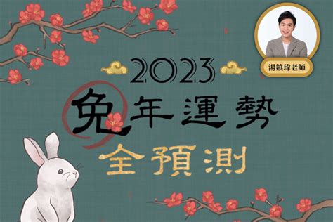 2023年生肖豬|2023兔年運勢全預測／湯鎮瑋：生肖豬今年事業前程看好，財運。